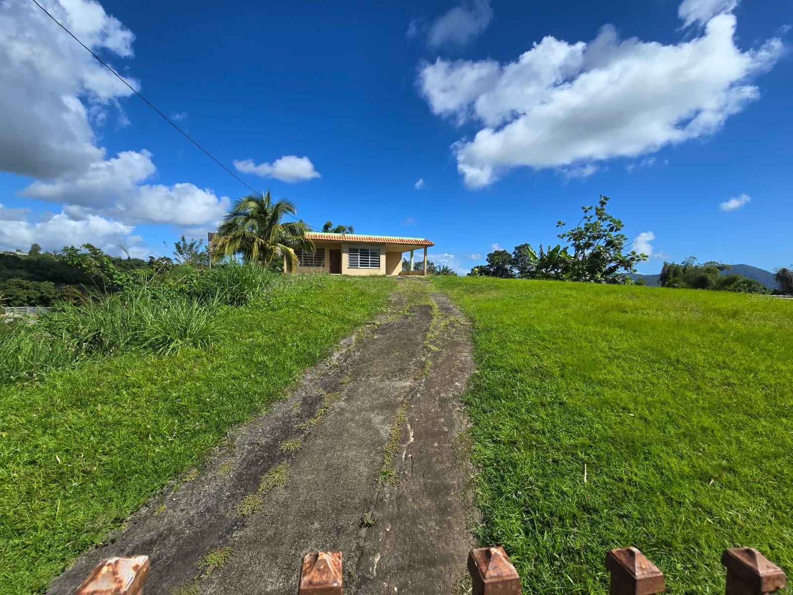 Carr 182 Km 8.2 Bo. Calabazas Arriba Property Photo