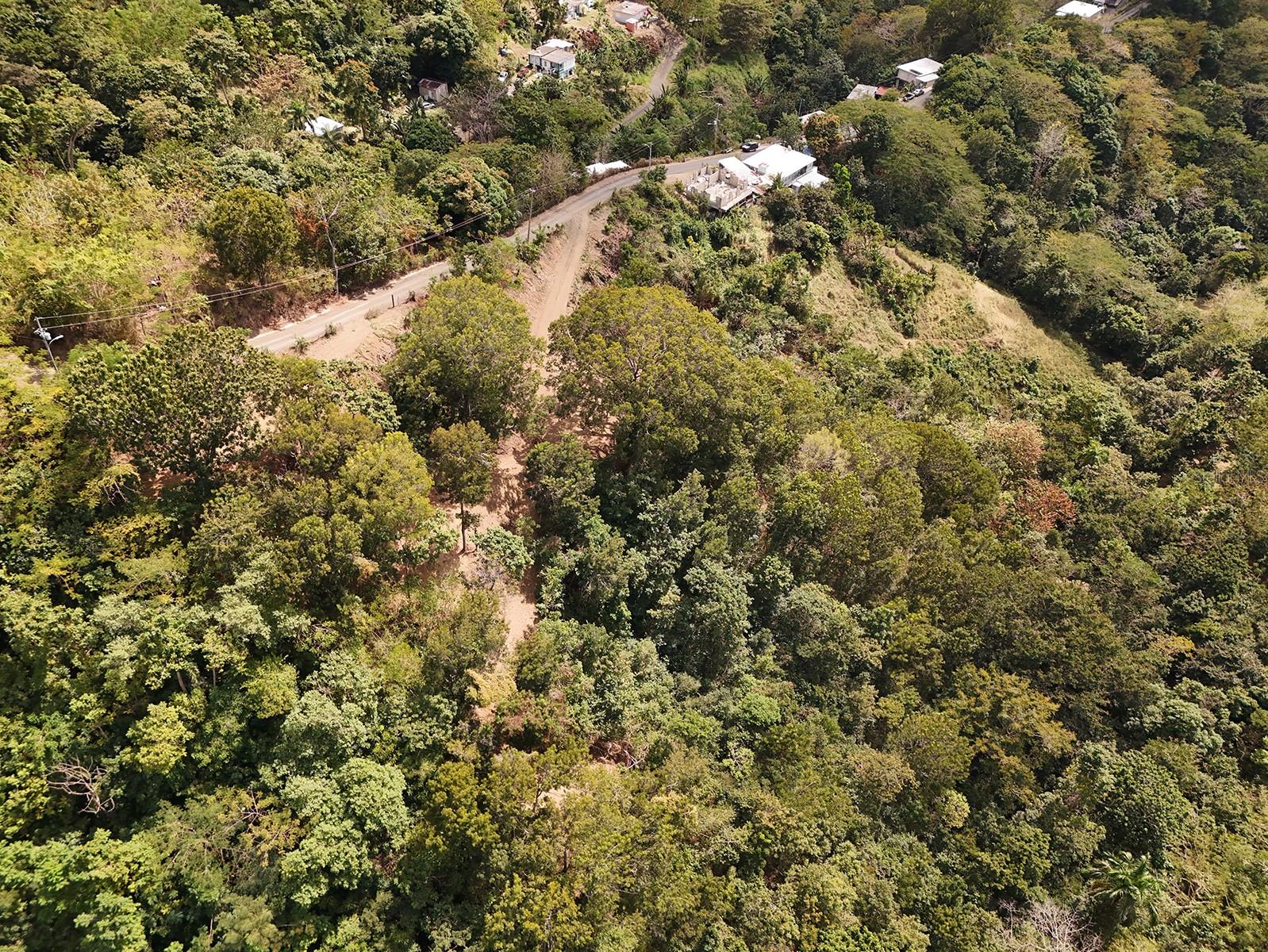 Ent La Ferrar Property Photo 7
