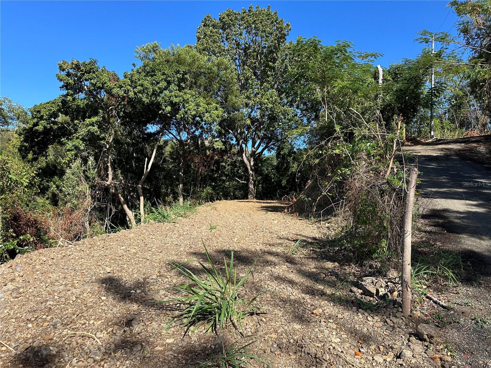 Ent La Ferrar Property Photo 10