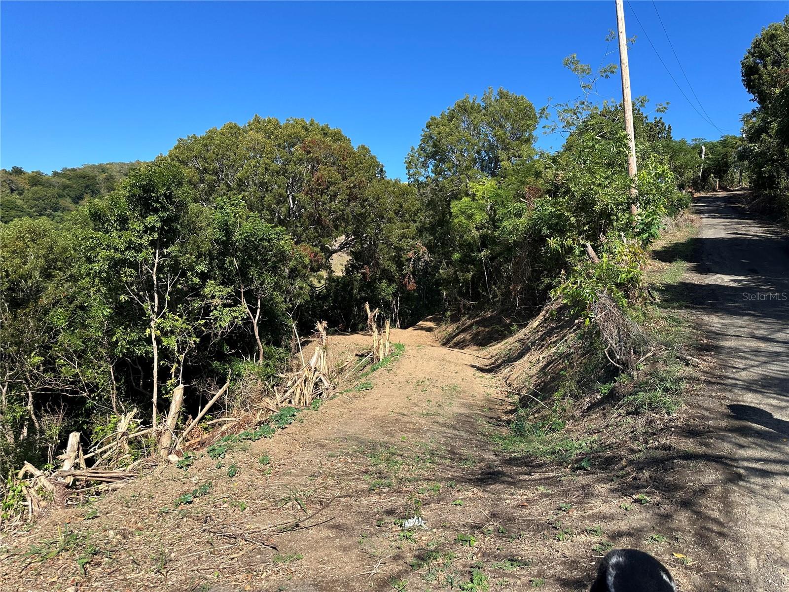 Ent La Ferrar Property Photo 11