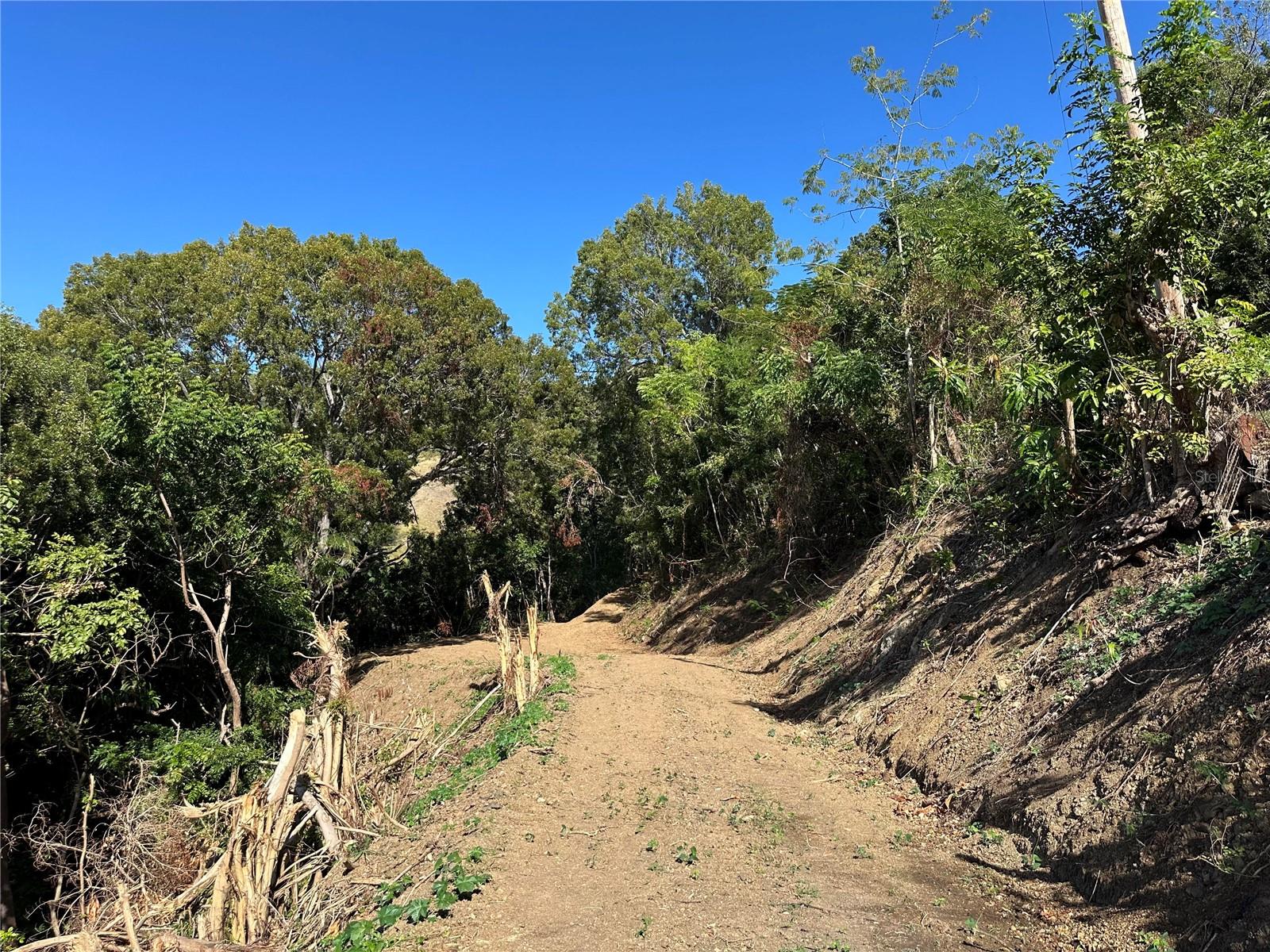 Ent La Ferrar Property Photo 13
