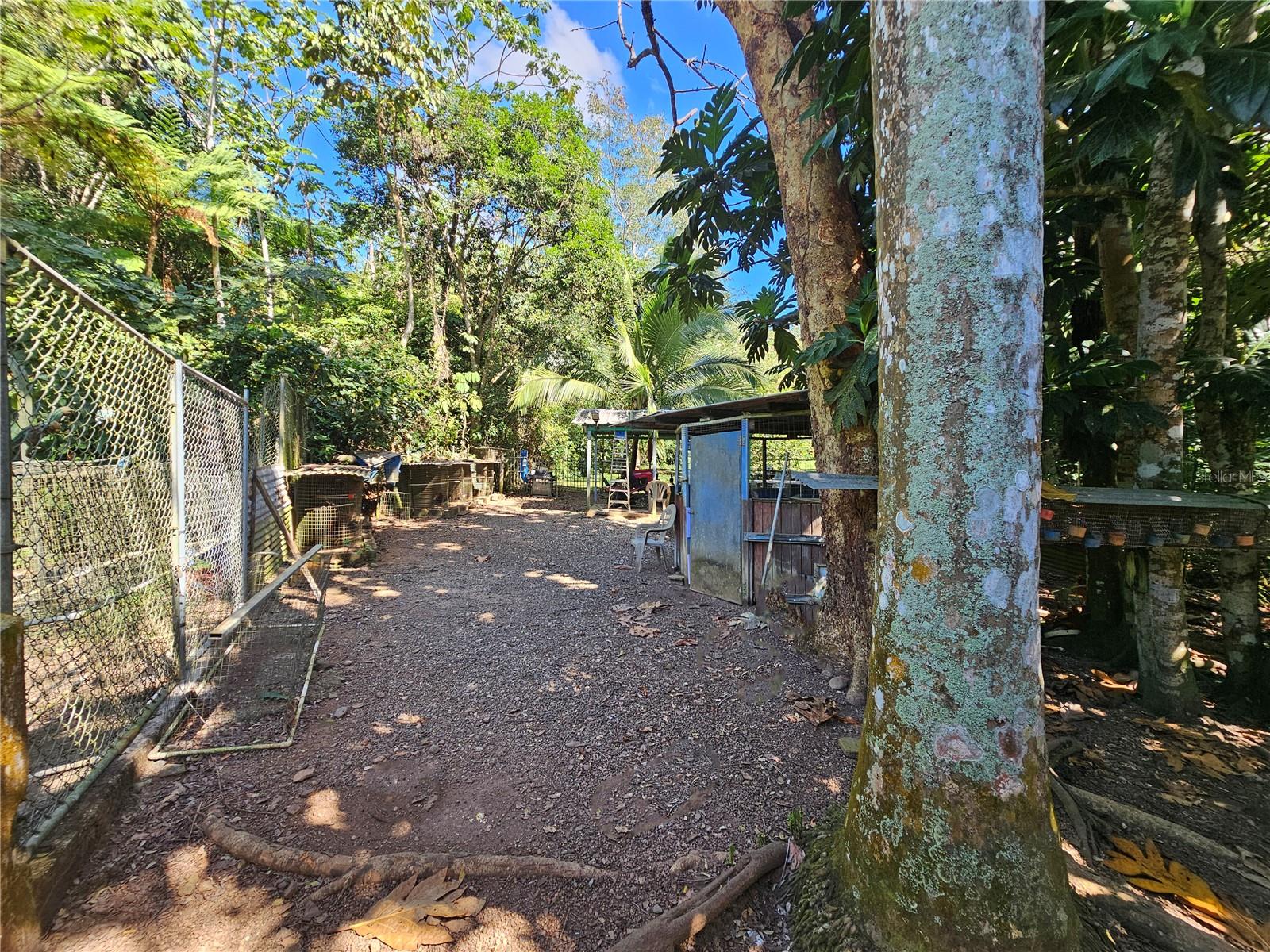 Property Photo 31