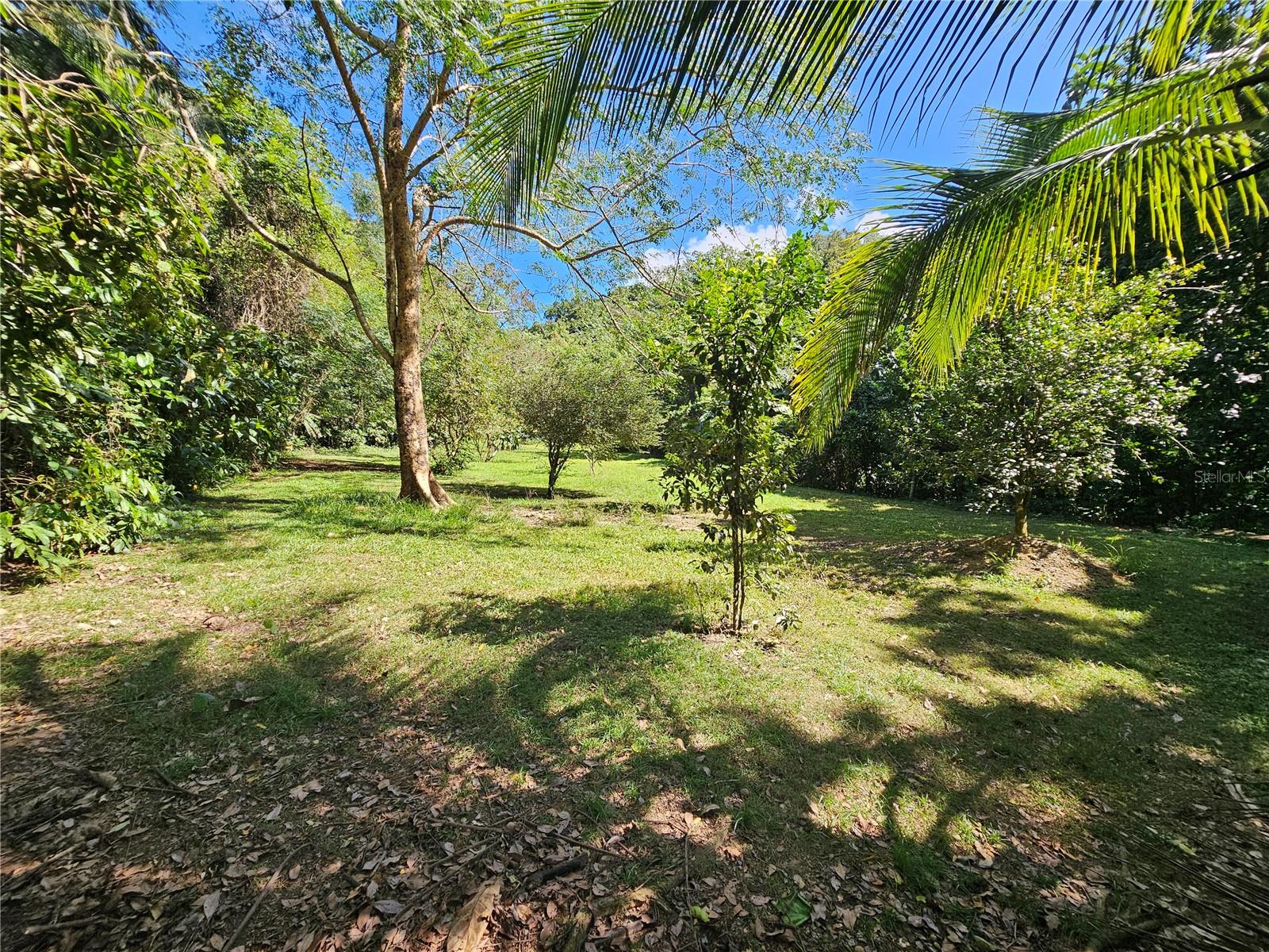 Property Photo 33