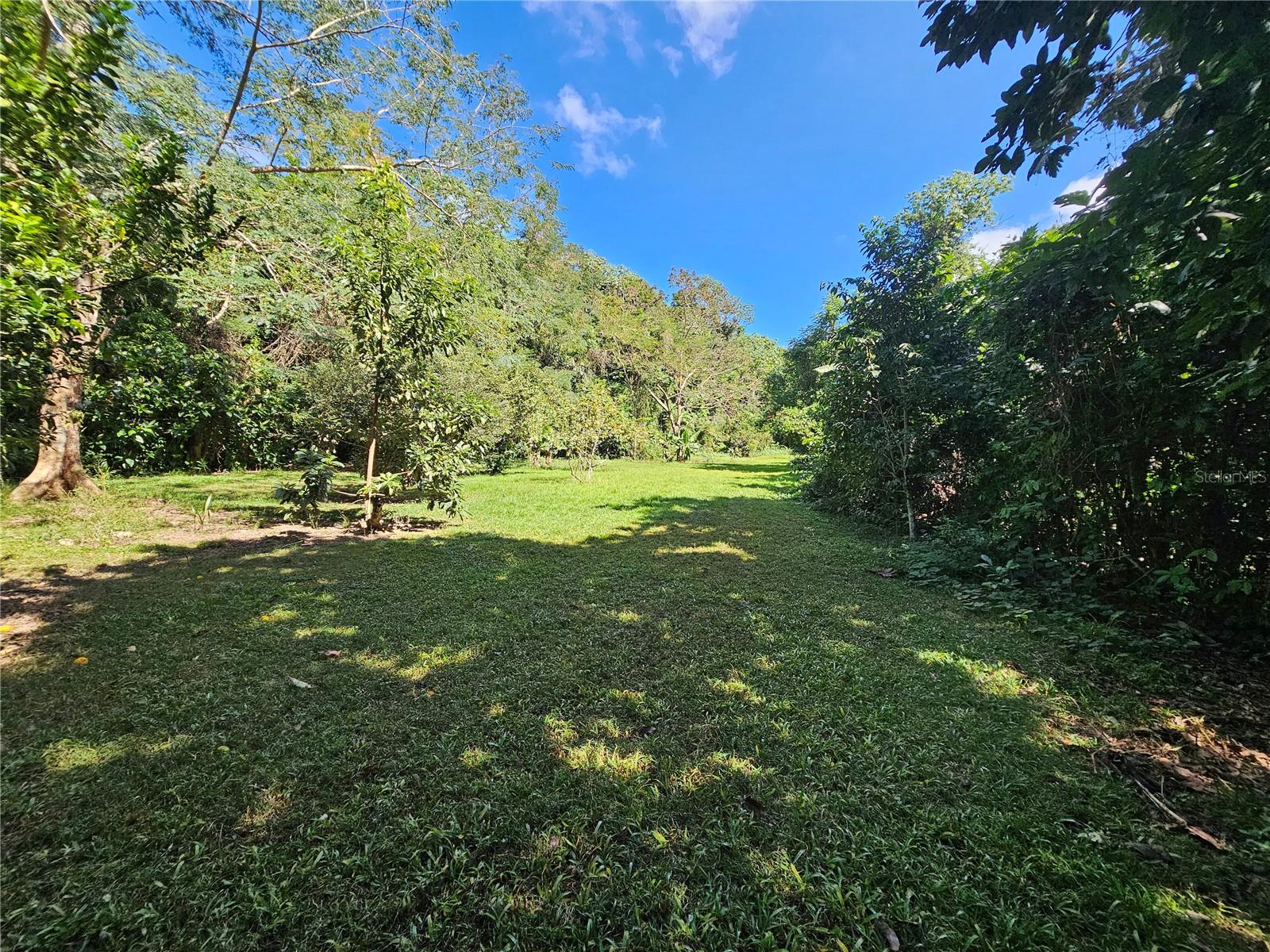 Property Photo 34