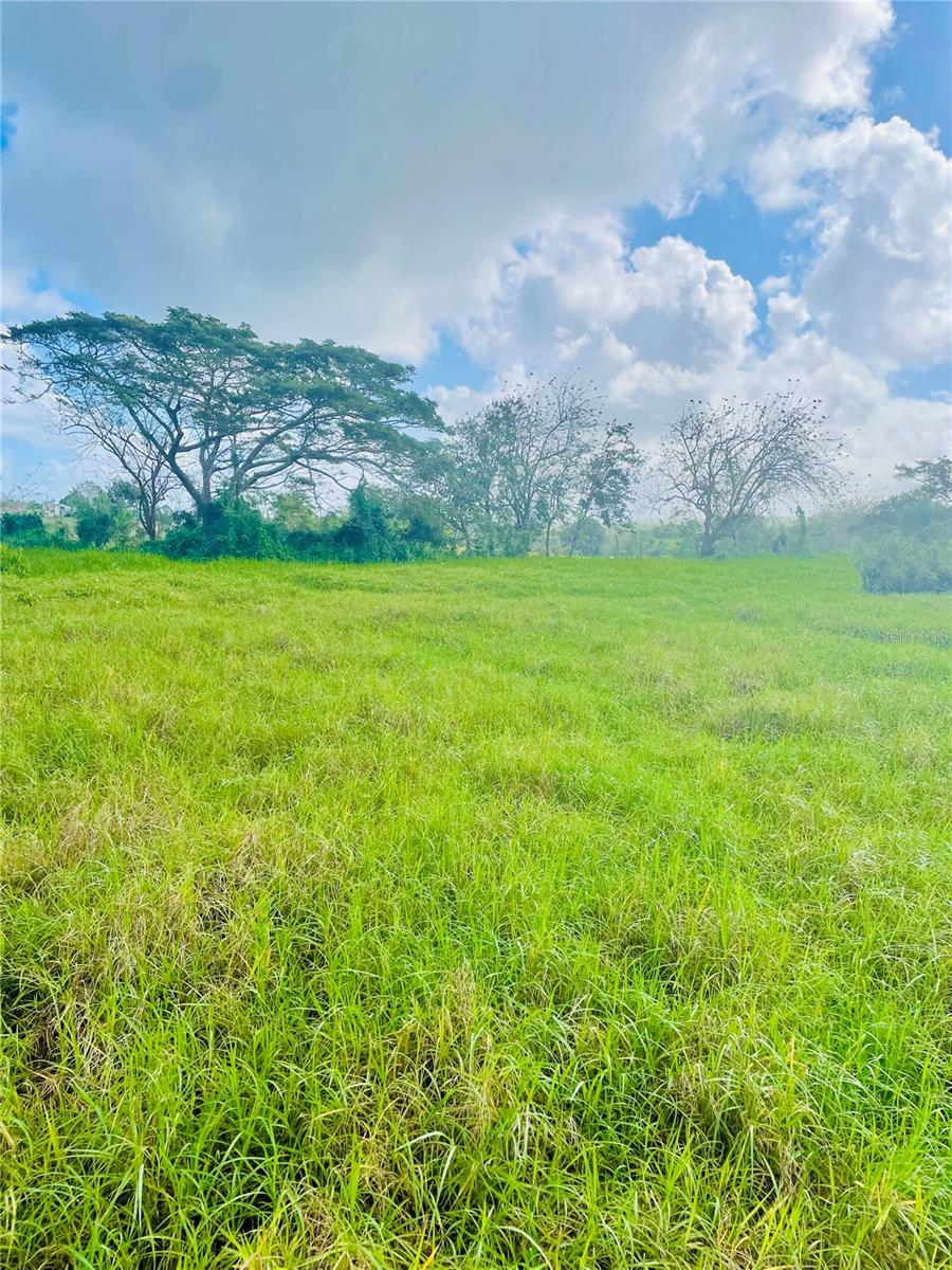 4494 Route Bo Mora Property Photo