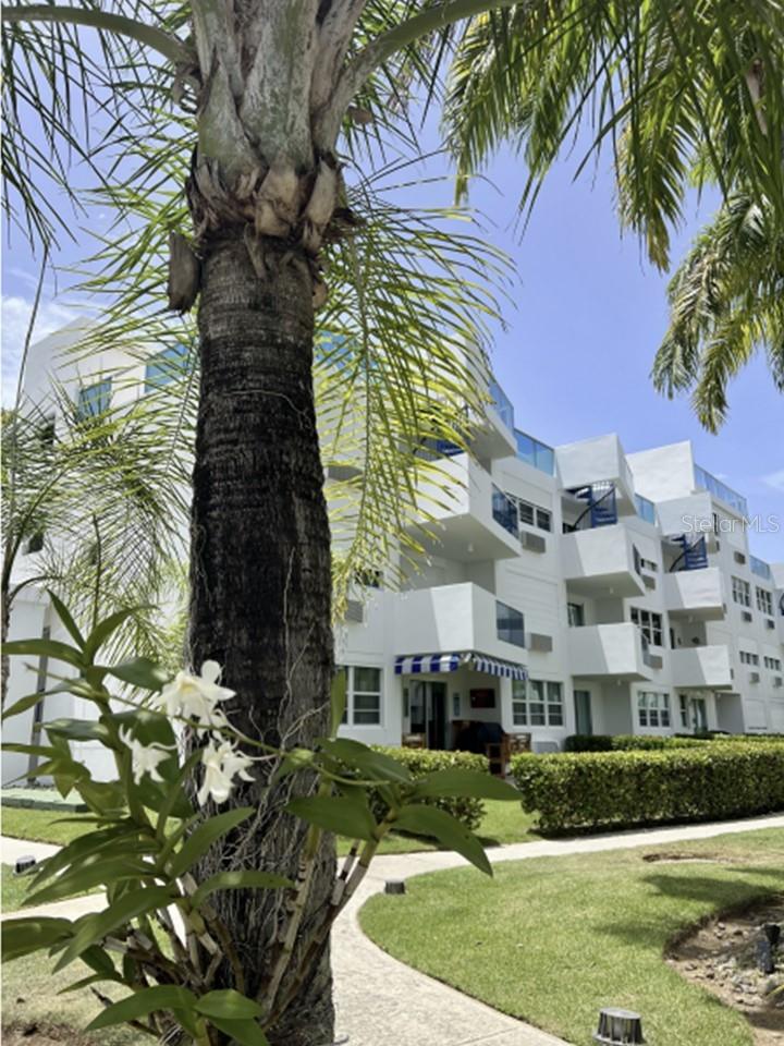 Loíza County Real Estate Listings Main Image