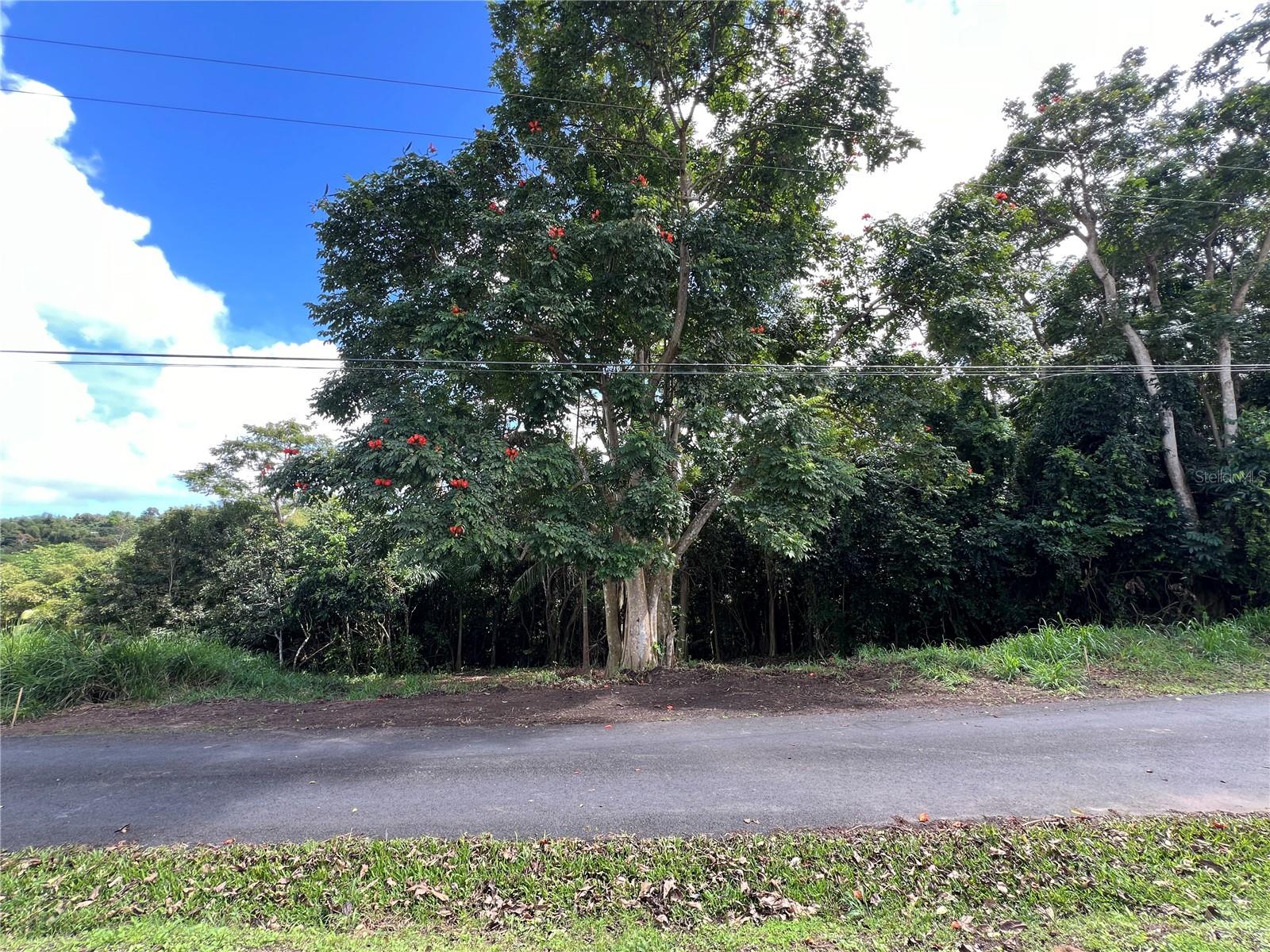 Quebrada Arenas Ward Property Photo