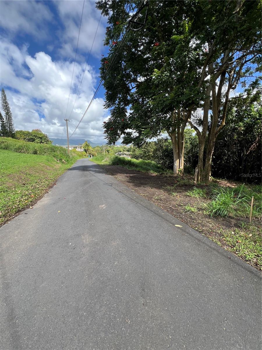 Quebrada Arenas Ward Property Photo 2