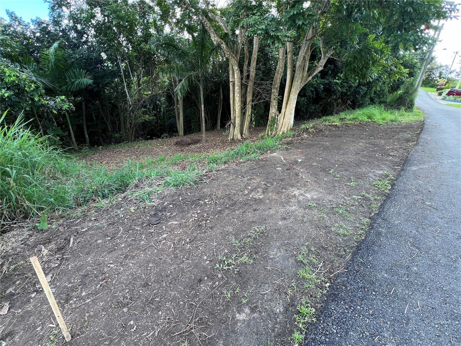 Quebrada Arenas Ward Property Photo 7