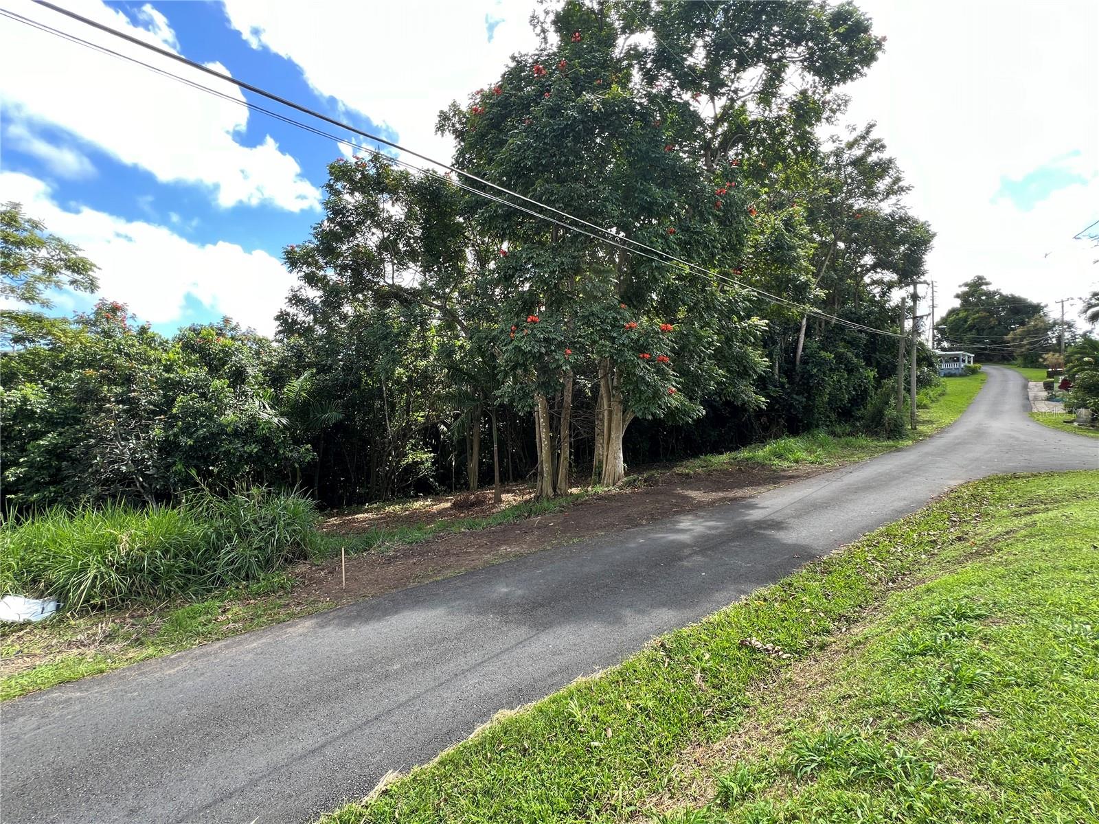 Quebrada Arenas Ward Property Photo 8