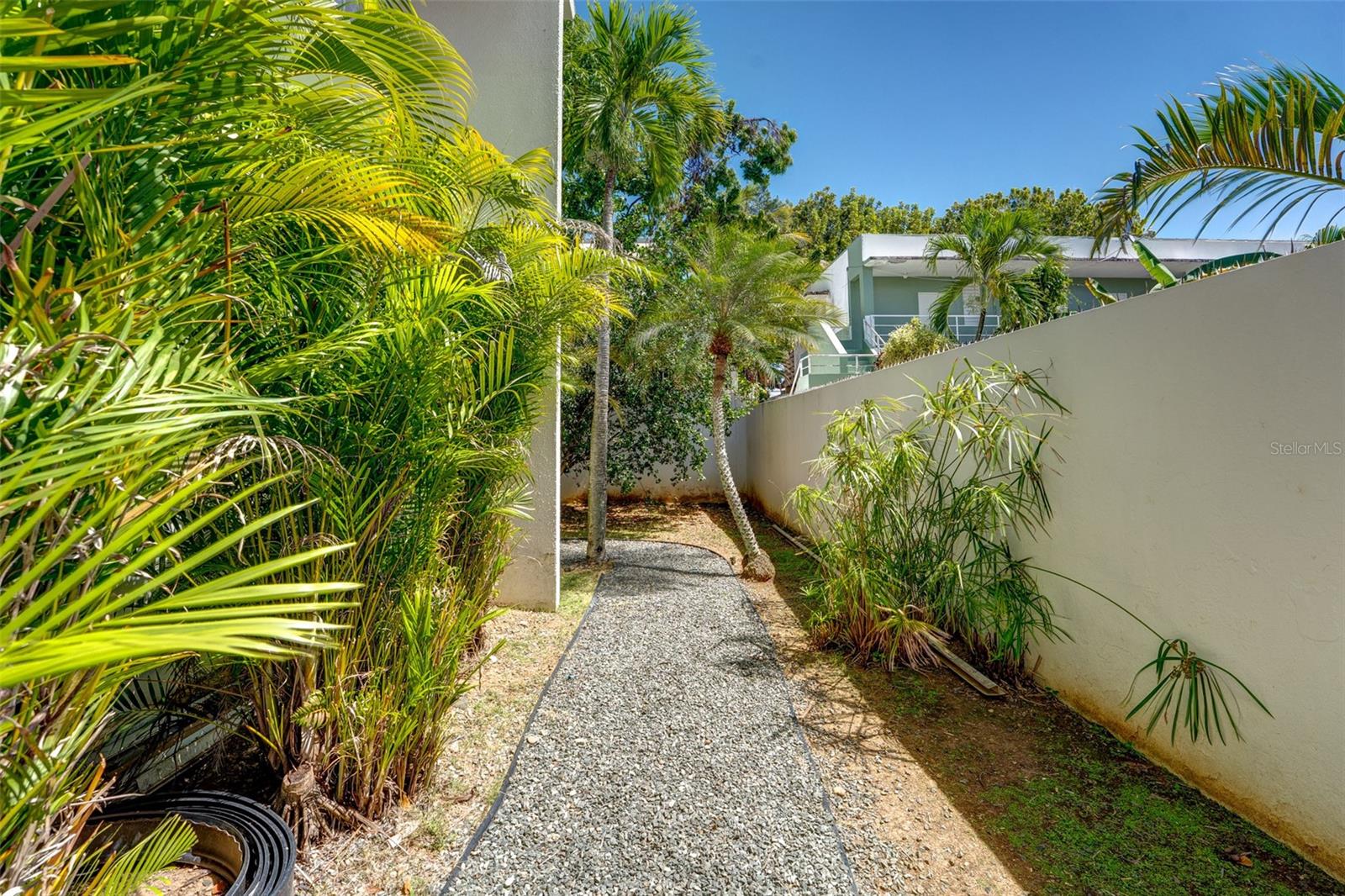 5 Calle Bucare #5 Property Photo 34