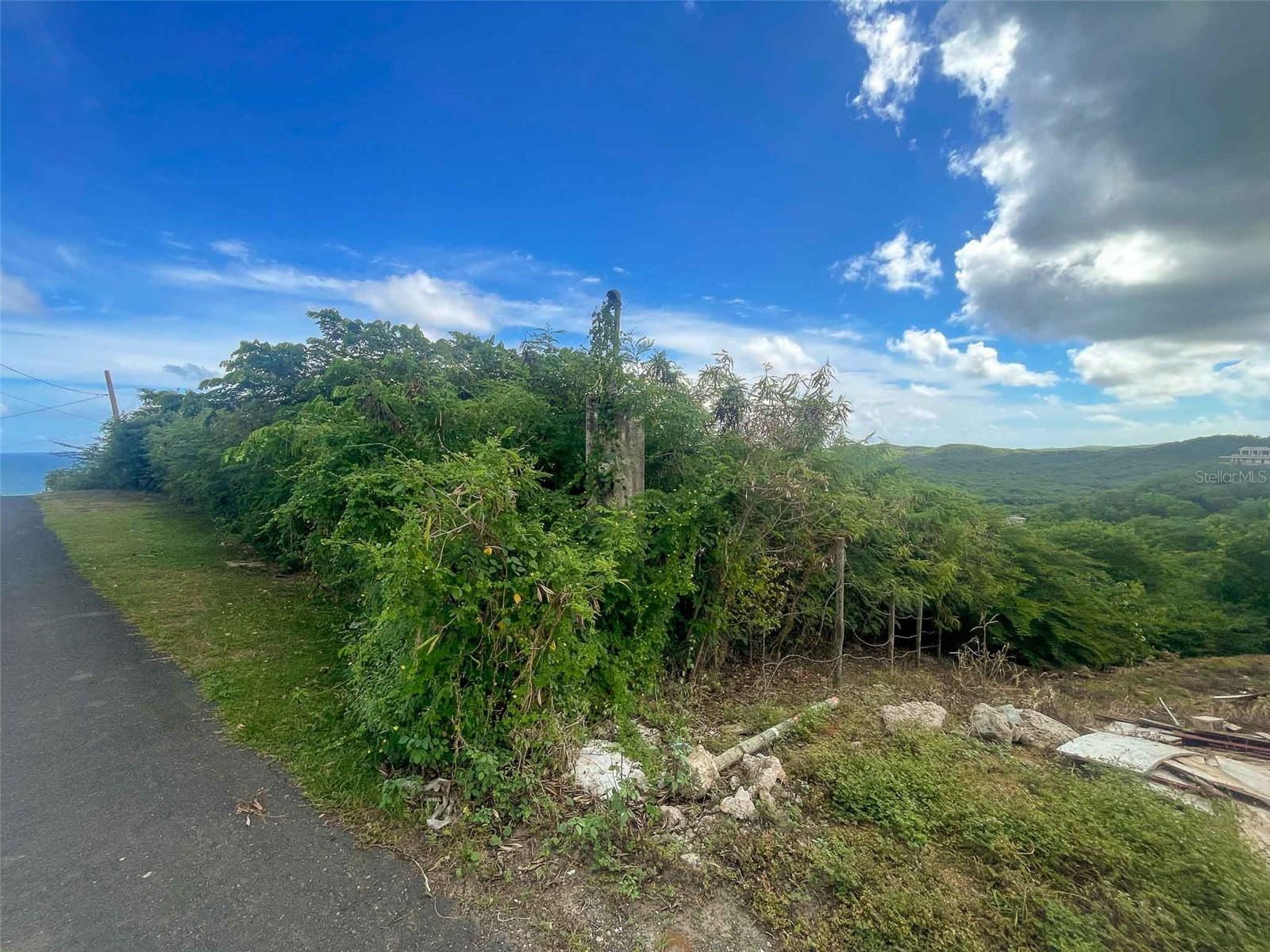 154 Calle Bastimiento Property Photo 4