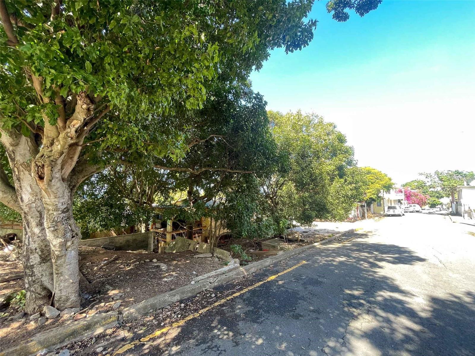 259 Calle Buena Vista Property Photo 2