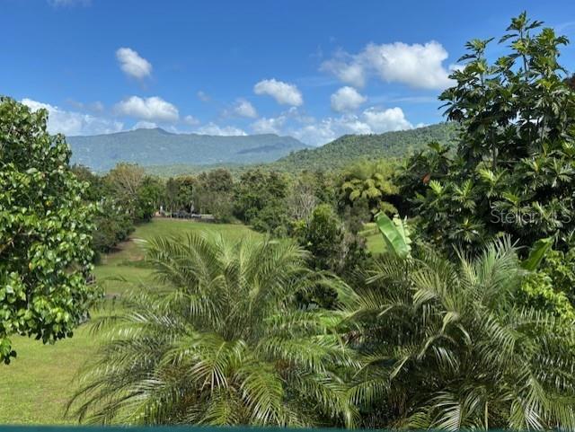 Bo Collores Carr#936 Km 1.0 #solar #1 Property Photo 3