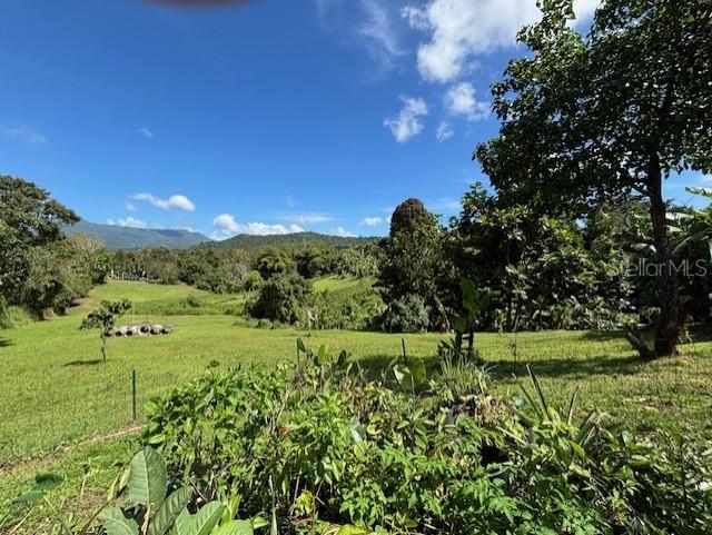 Bo Collores Carr#936 Km 1.0 #solar #1 Property Photo 4