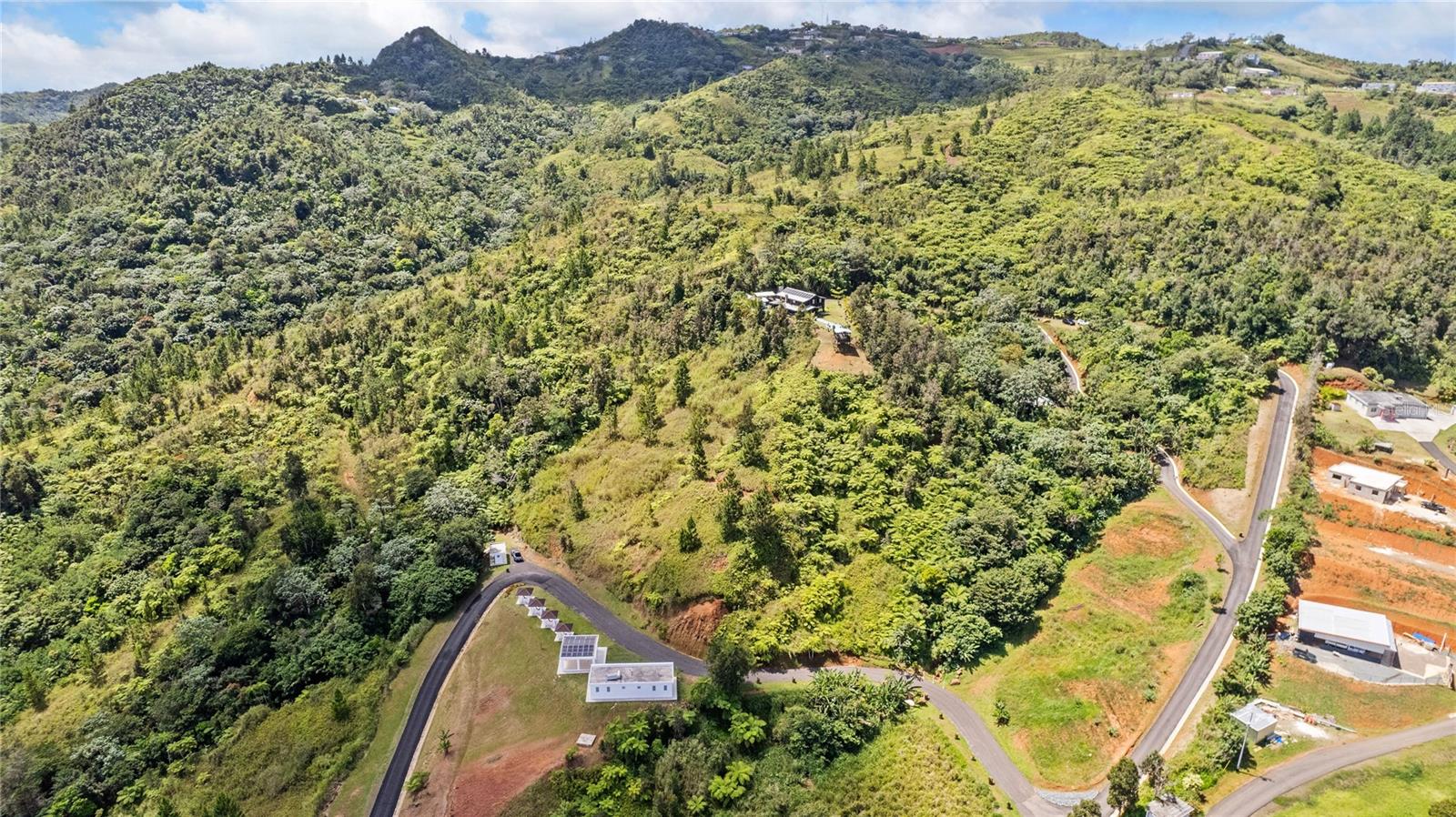 Pr-566 Km.4.0 Int Coli Sector, Saltos Ward Rd Property Photo 1