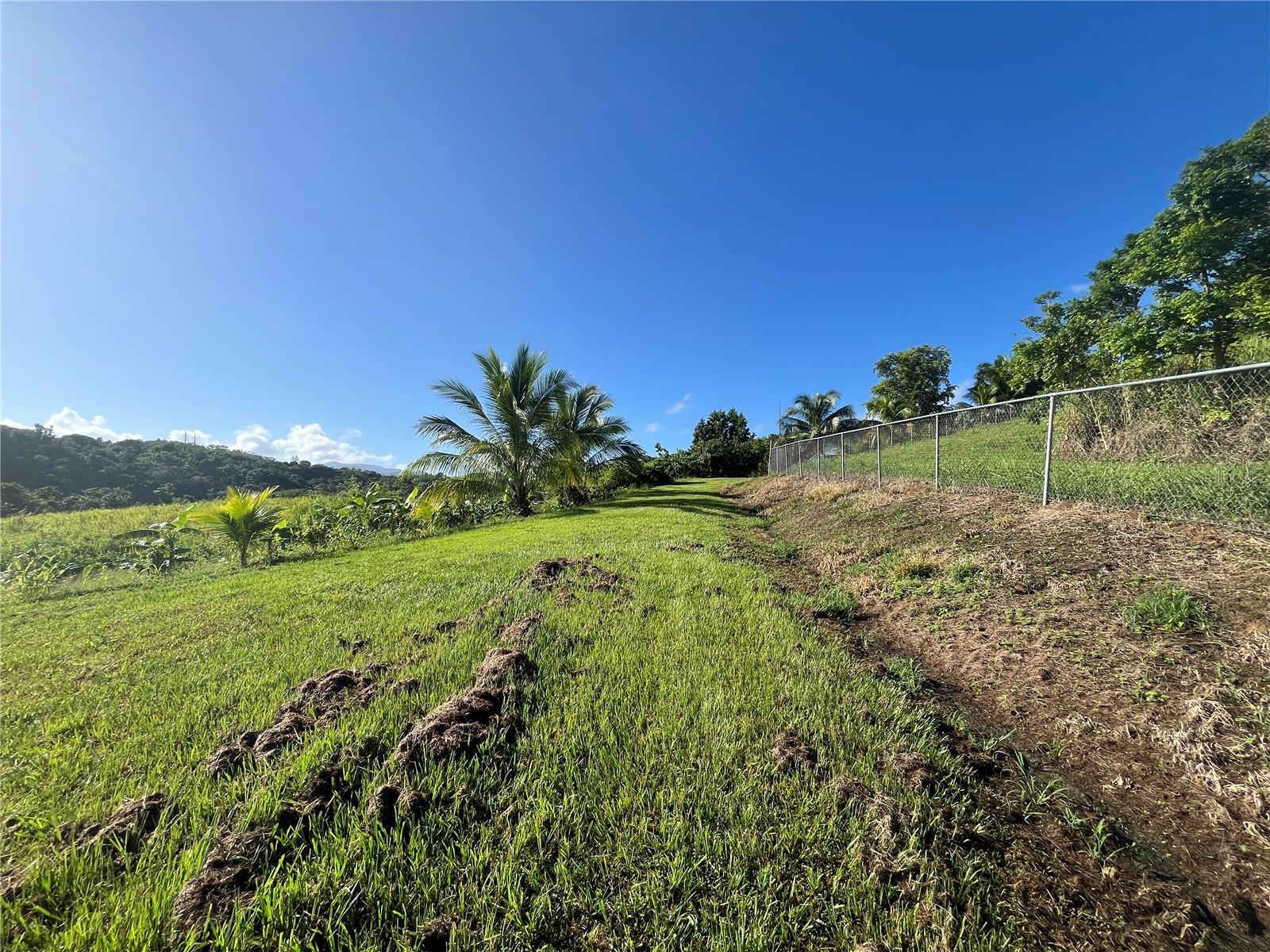 Carr. 857 Km.hm 003 3 Bo. Canovanillas Property Photo 3
