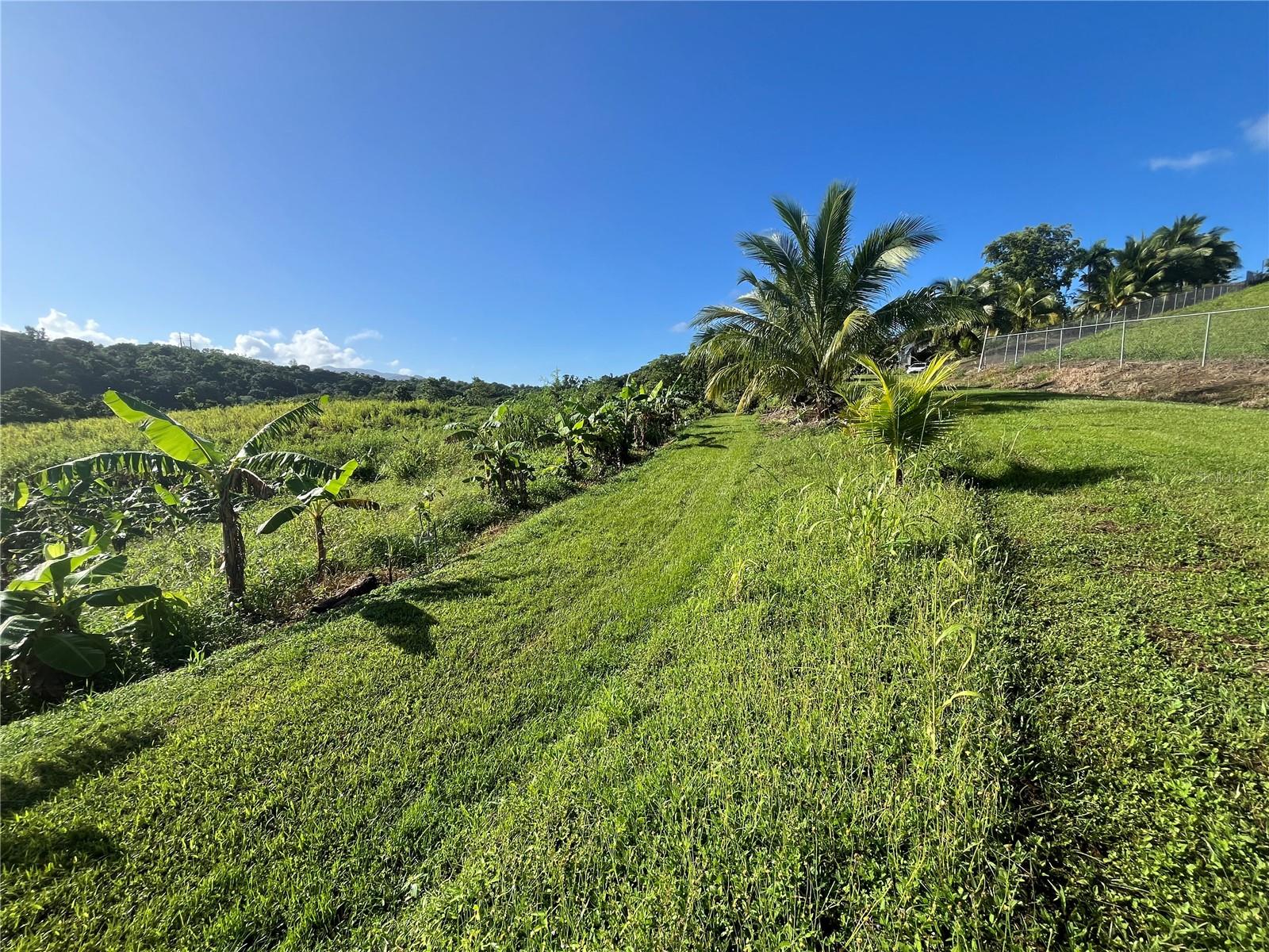 Carr. 857 Km.hm 003 3 Bo. Canovanillas Property Photo 9