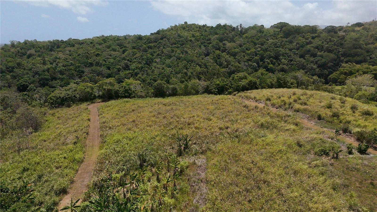 Carr. 857 Km.hm 003 3 Bo. Canovanillas Property Photo 23