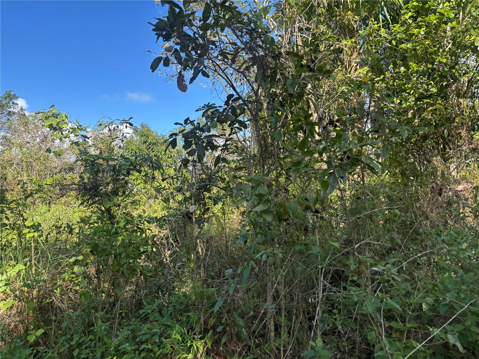 857 Km 5.2 Property Photo 3