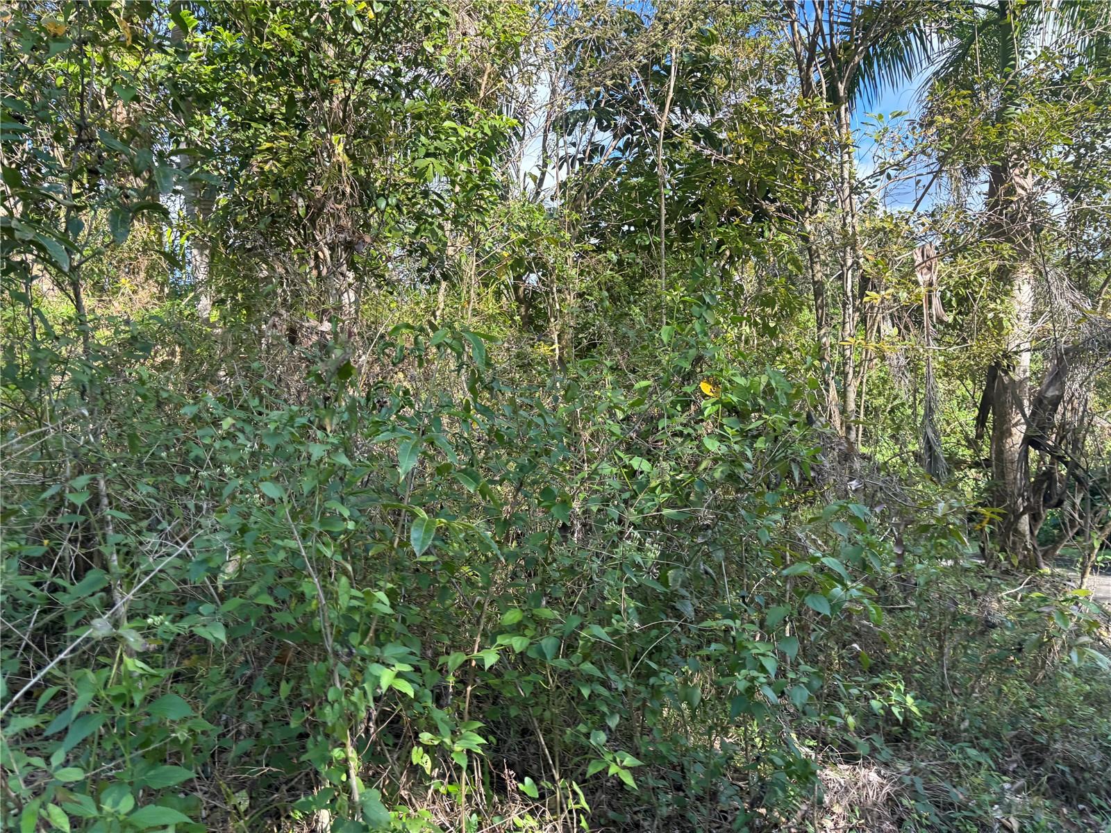 857 Km 5.2 Property Photo 5