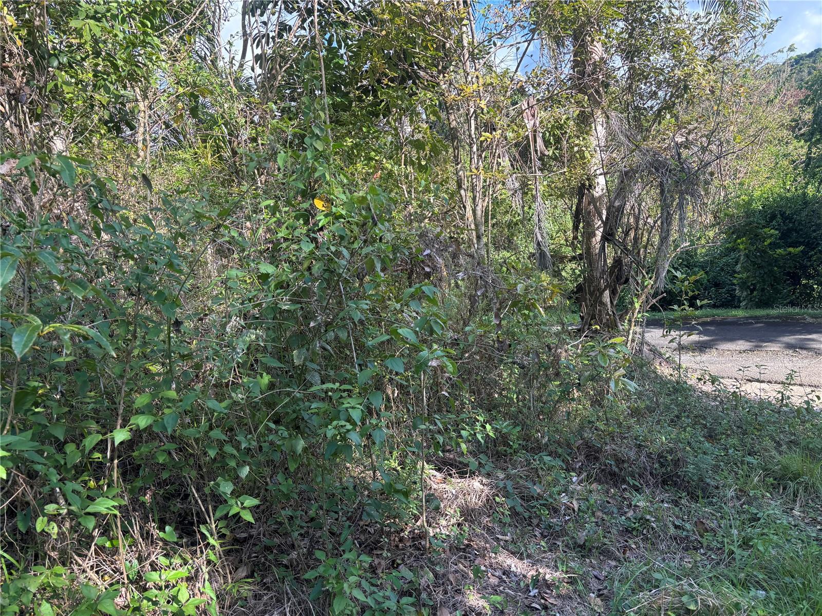 857 Km 5.2 Property Photo 9