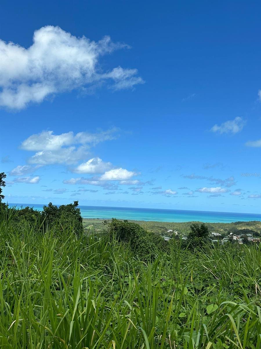 Pr 984 Km 1.5 Int. Juanmartin Ward Property Photo
