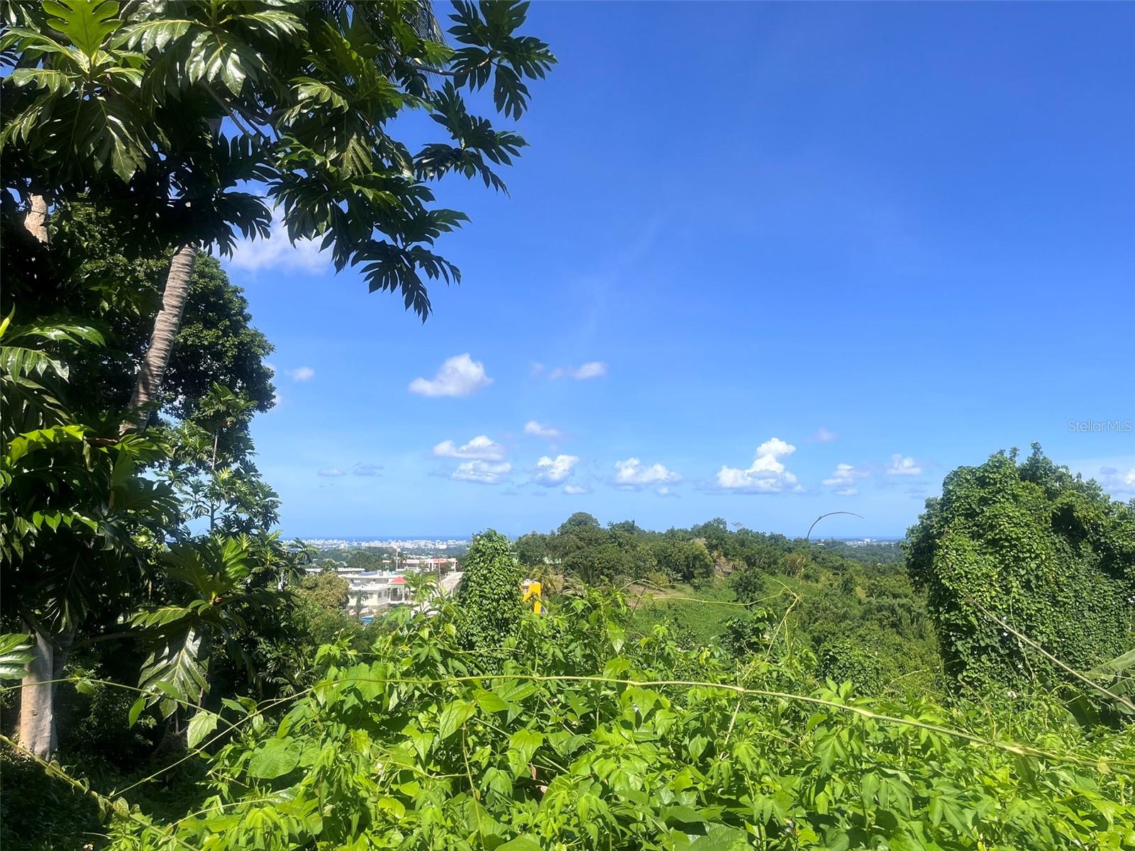 Barrio Mamey Property Photo