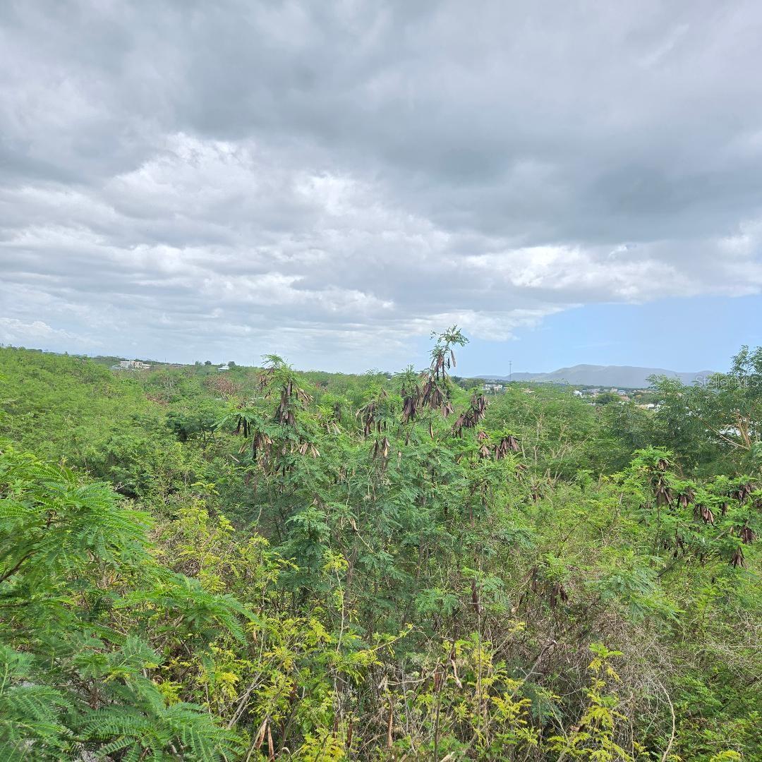 307 Pedernales Ward Property Photo 2