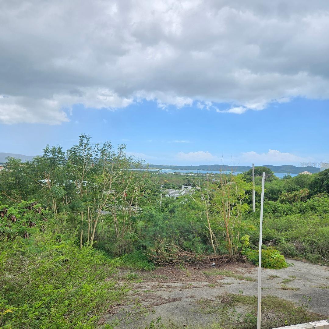 307 Pedernales Ward Property Photo 3