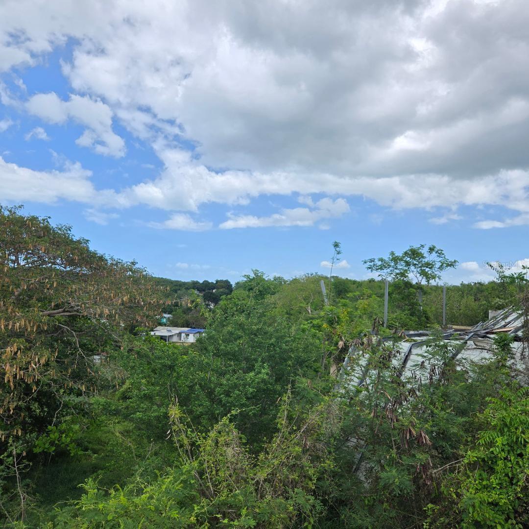 307 Pedernales Ward Property Photo 4