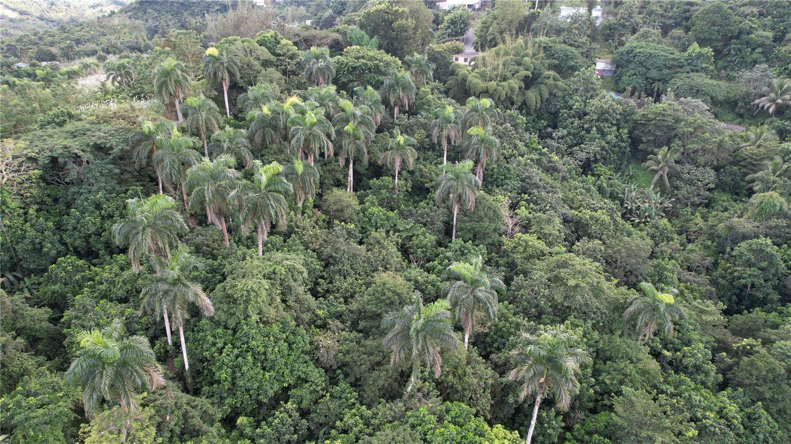 Corozal County Real Estate Listings Main Image