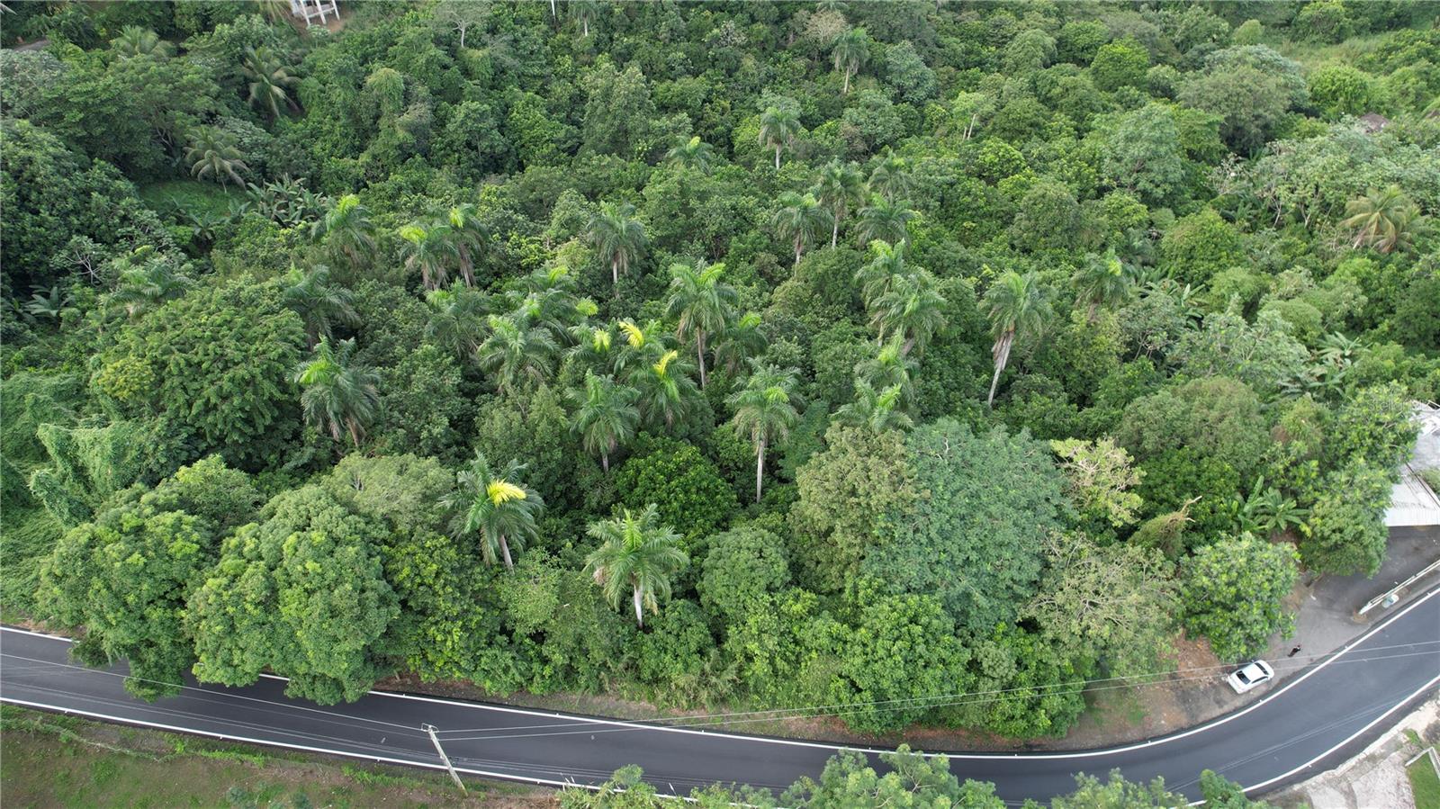 Carr 159 Bo. Dos Bocas Property Photo 6