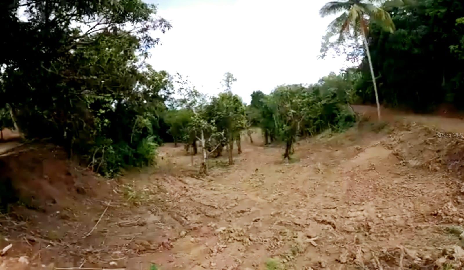 Sector Miraflores Property Photo 3