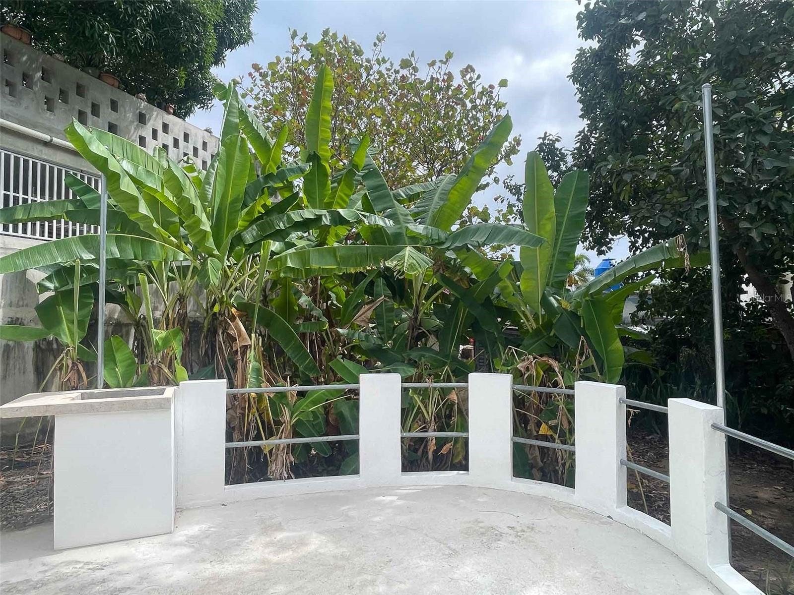 376 Calle Girasol Property Photo 16
