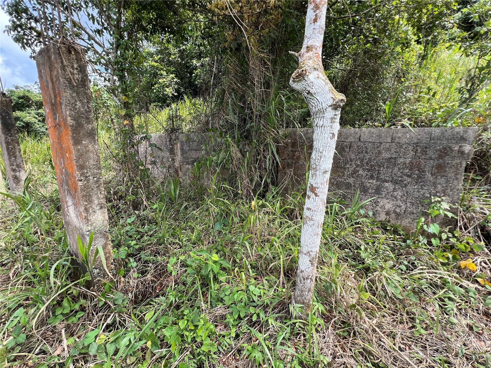 Km 0.2 Int Bo. Helechal Pr 152 Property Photo 27