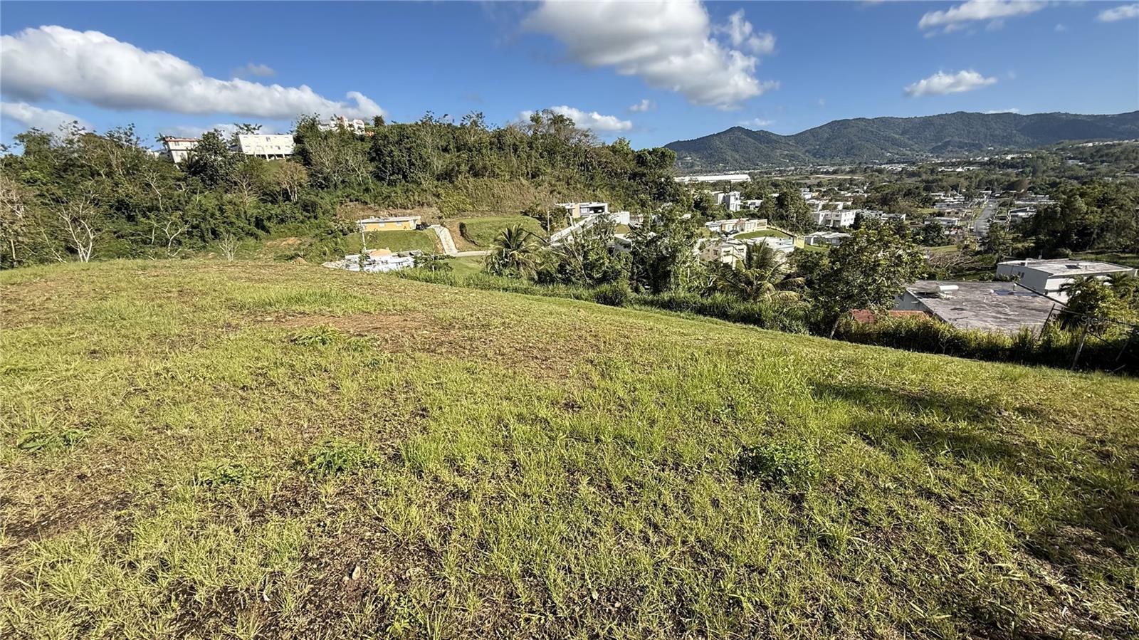 Calle Flamboyan Bo. Arenas Property Photo 1