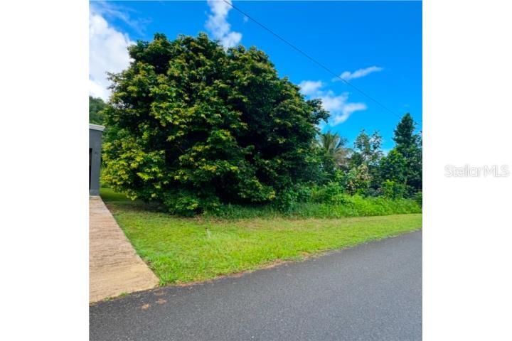 Florida County Real Estate Listings Main Image