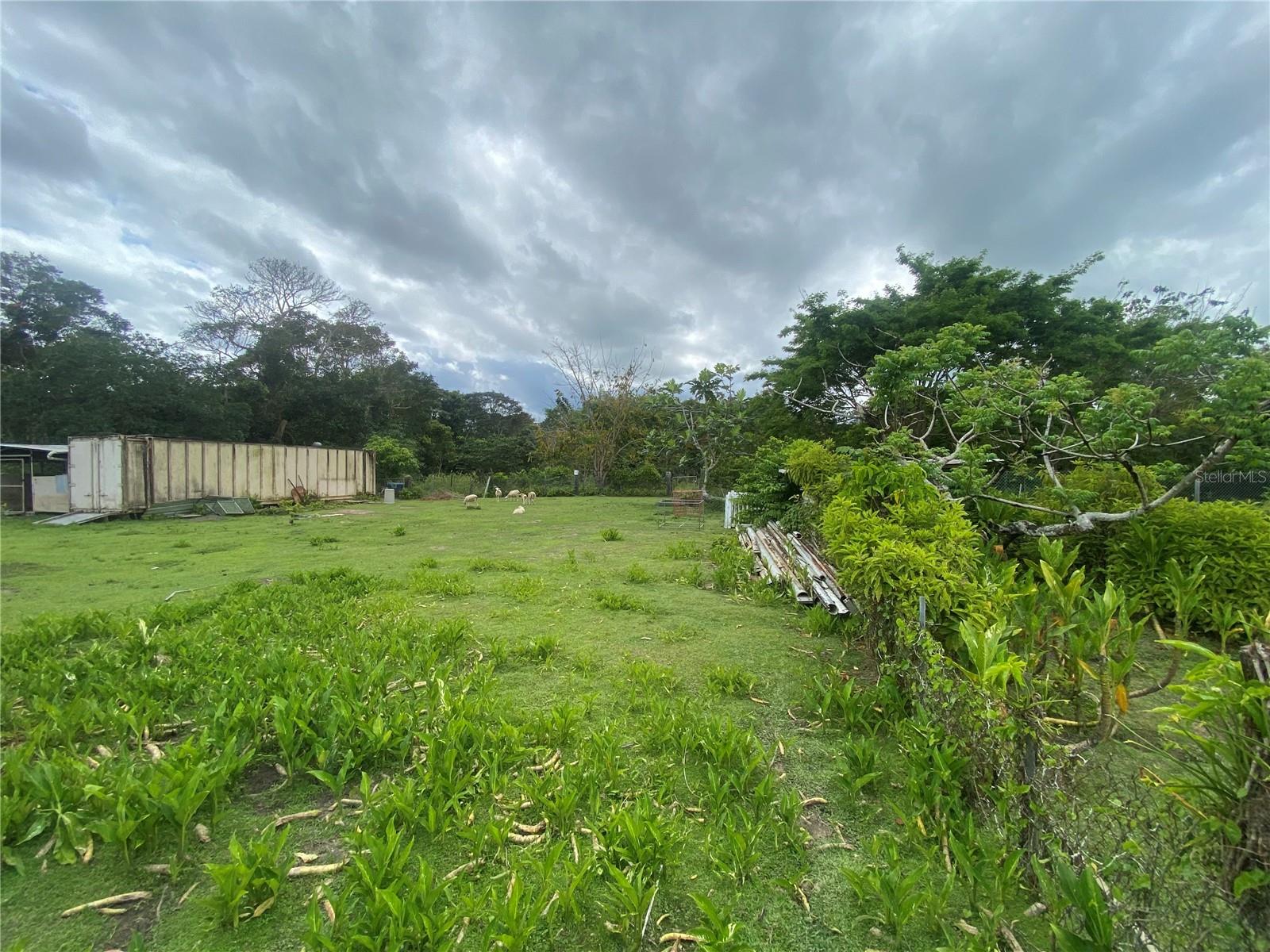 Sector. La Romana Property Photo 3
