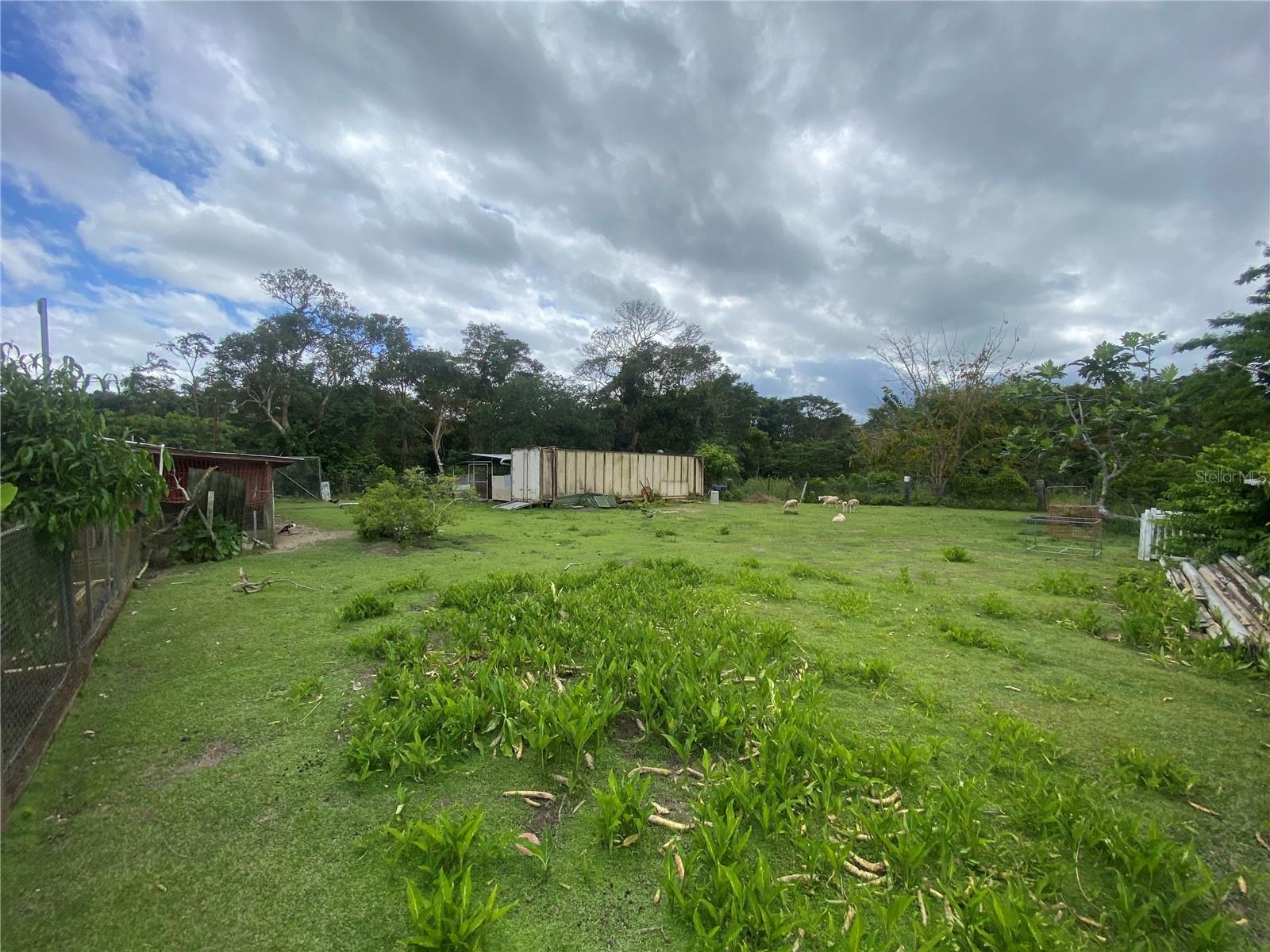 Sector. La Romana Property Photo 7