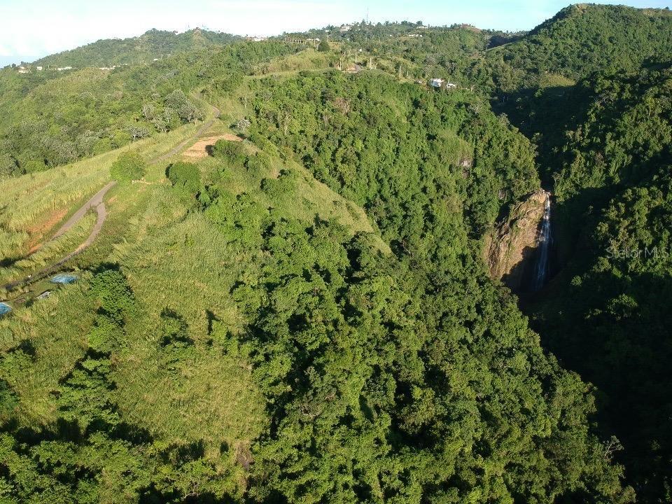 Morovis County Real Estate Listings Main Image