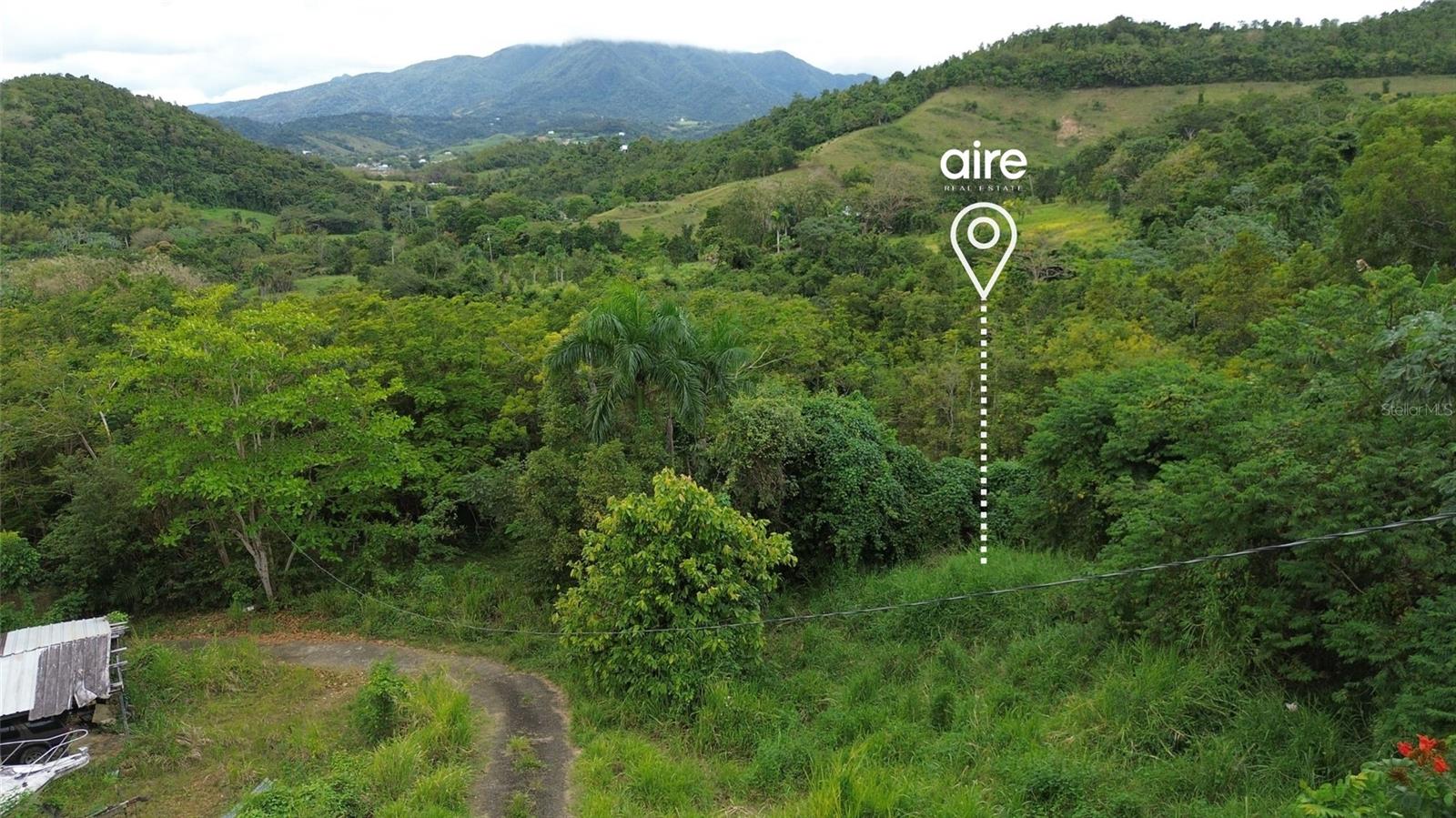 Lot 7 Km 61 Pr-3 Int Daguao Ward Property Photo 1