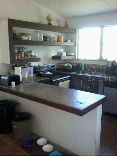 Carretera Interior V. Borinquen Property Photo 3