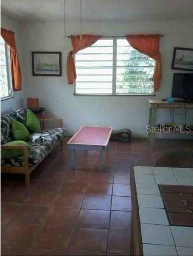 Carretera Interior V. Borinquen Property Photo 4