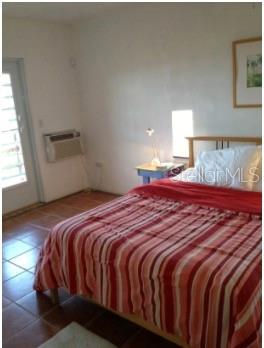 Carretera Interior V. Borinquen Property Photo 6