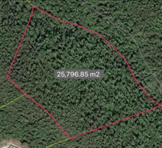 Bo. Turabo Property Photo 1