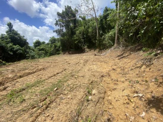 Bo. Turabo Property Photo 2