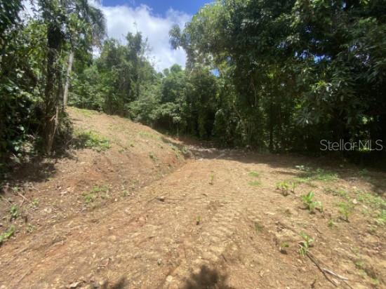 Bo. Turabo Property Photo 3