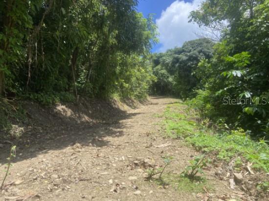Bo. Turabo Property Photo 6