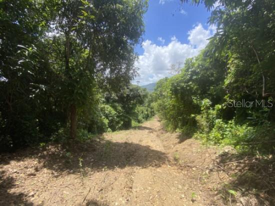 Bo. Turabo Property Photo 7